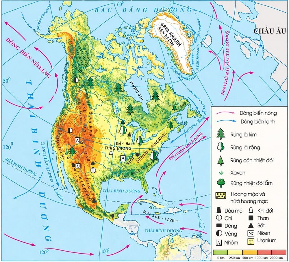 Bản đồ địa lý Bắc Mỹ phản ánh rõ cấu trúc tự nhiên