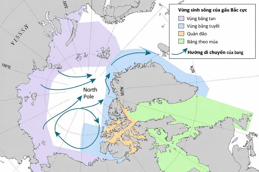 nhiệt độ trung bình, phạm vi băng phủ theo mùa và xu hướng biến đổi khí hậu