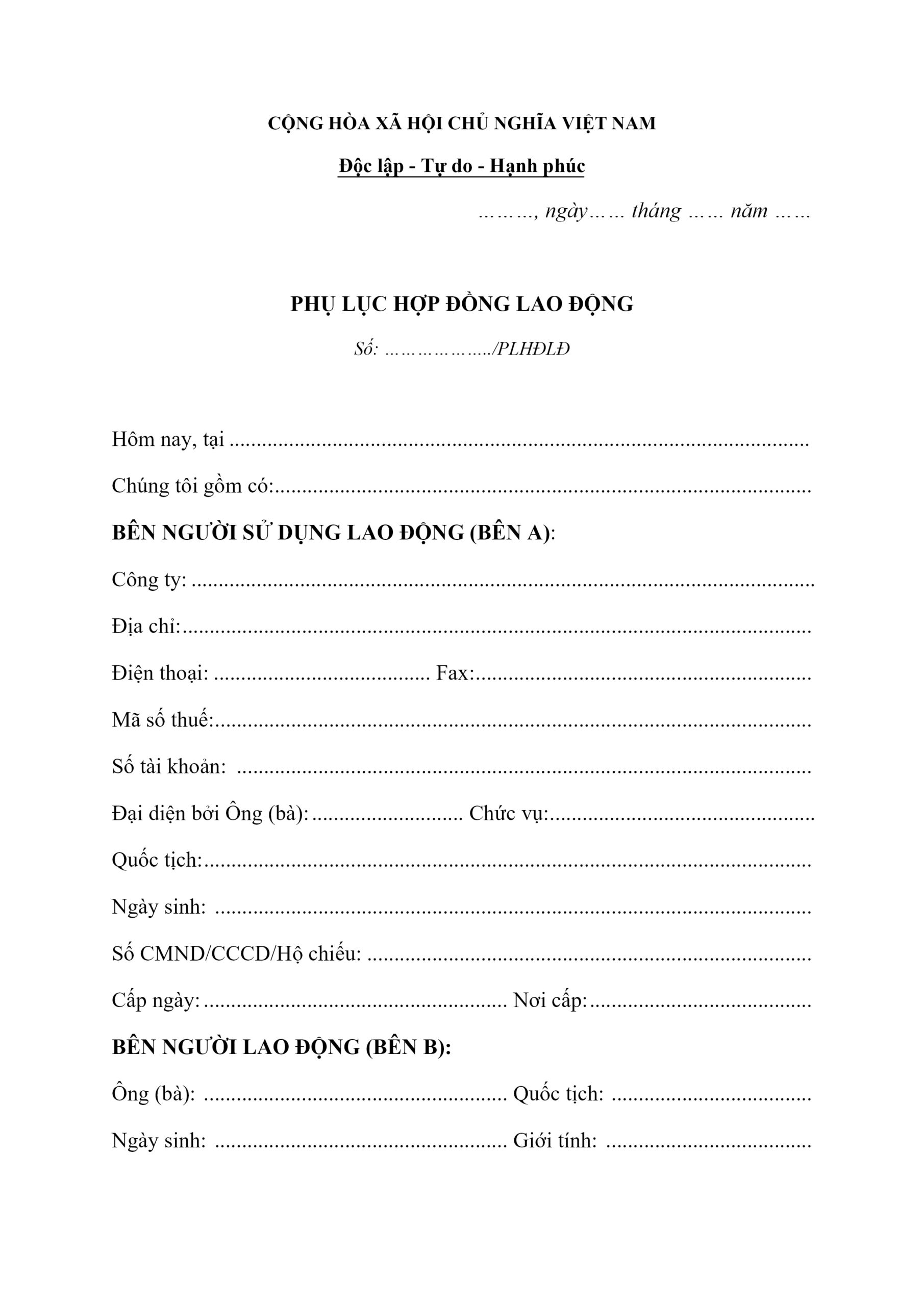 Mẫu phụ lục lao động
